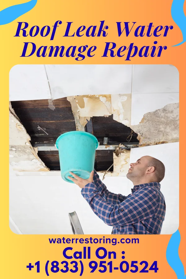Roof Leak Water Damage Repair in Madison Center, CT