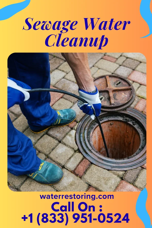 Sewage Water Cleanup in Madison Center, CT